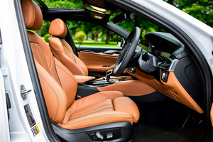 Аренда авто BMW 530e M Sport(19-23) - фото 11